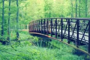 5 Beautiful Places To Walk Near Collierville This Spring