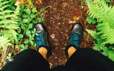 Top 3 Tips for Trail Running (or Walking)